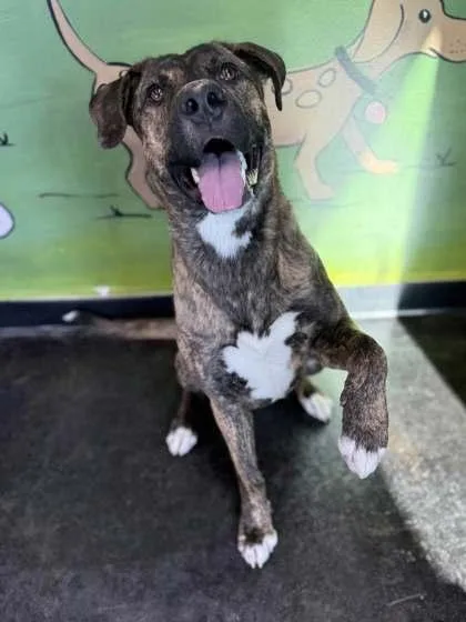 Josephine thumbnail 2