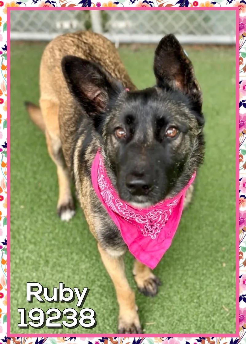 Ruby thumbnail 3