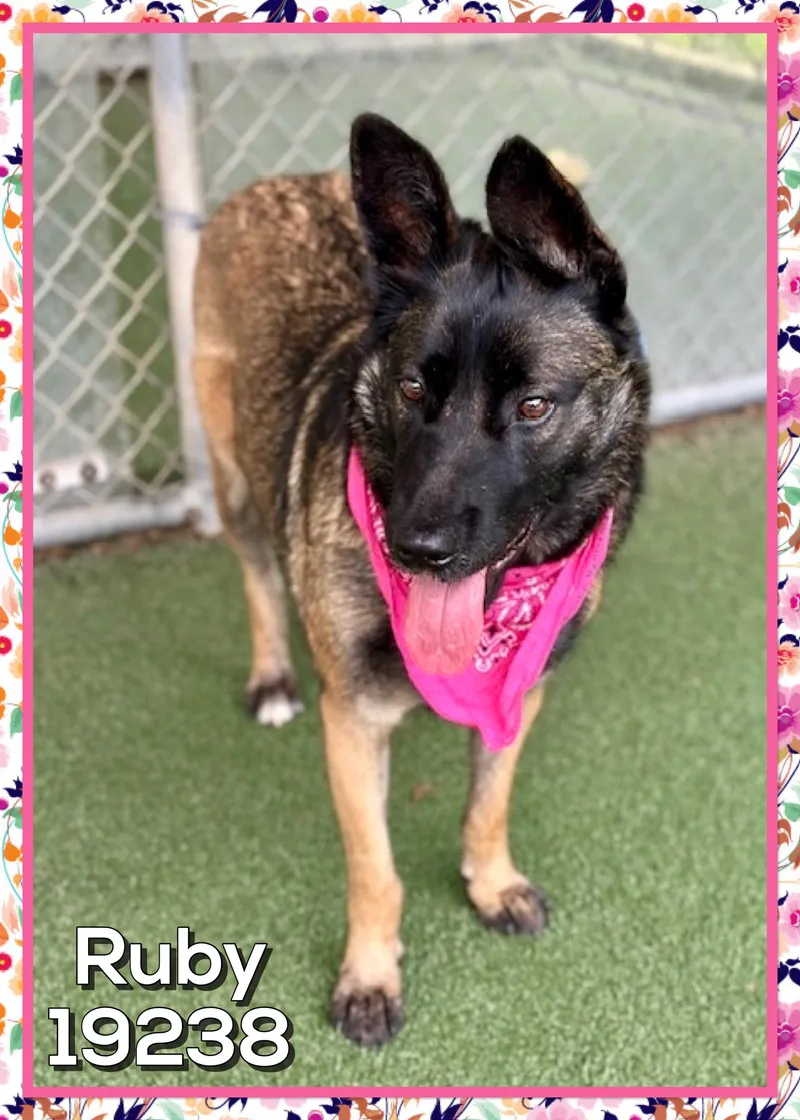 Ruby thumbnail 5
