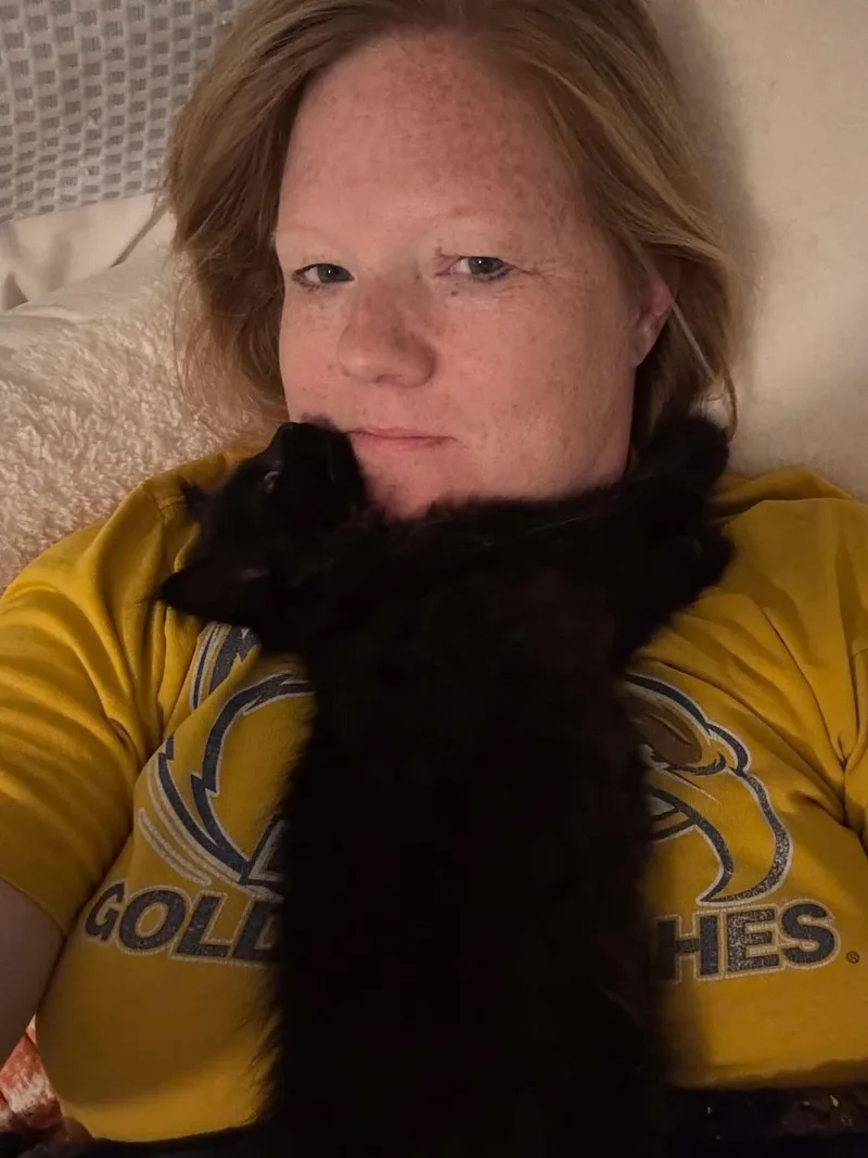 A baby small-sized male Black Domestic Short Hair cat named Cole for adoption in Elyria, OH