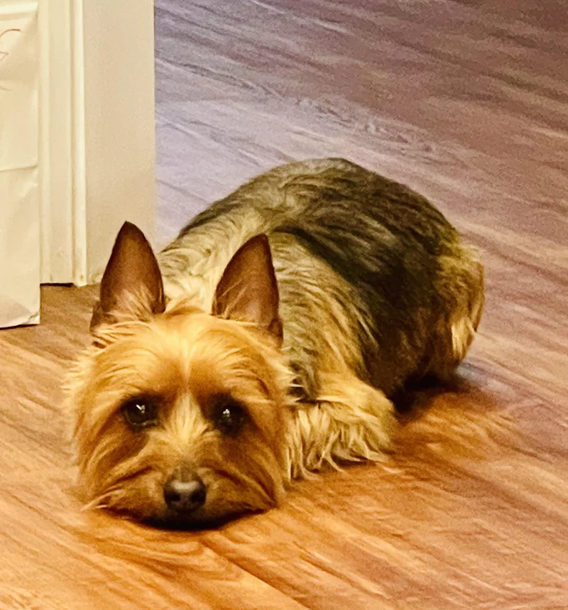 Max