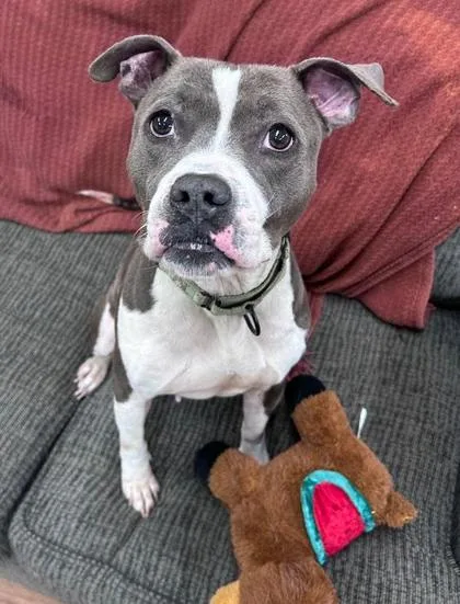 Juliette thumbnail 2