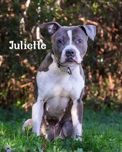 Juliette thumbnail 3