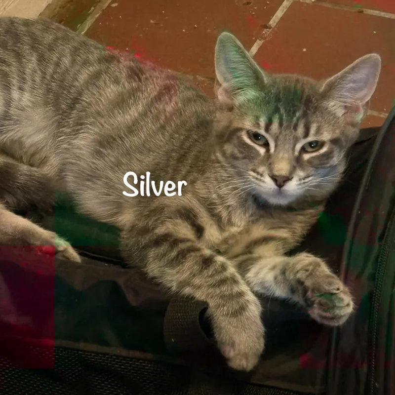 Silver