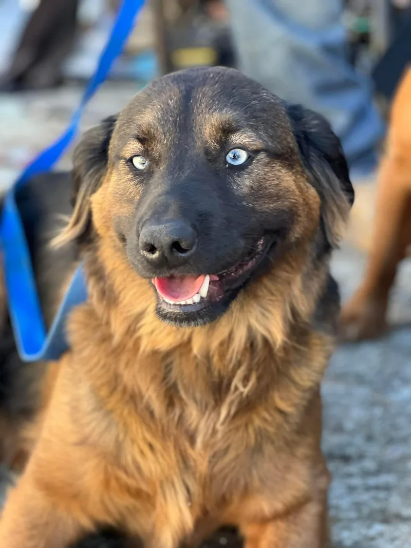 Papichulo thumbnail 6