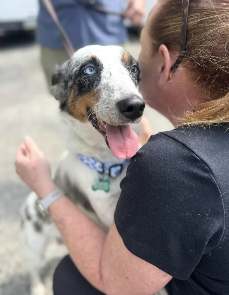 Dolly Mae thumbnail 2