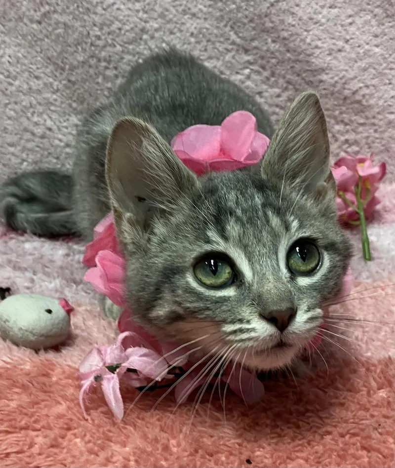 Yuki