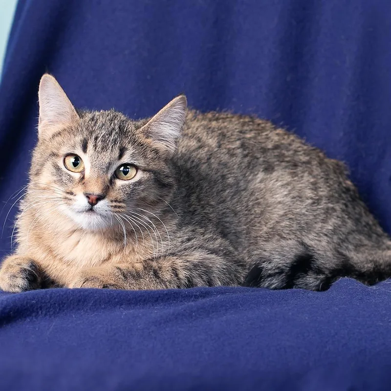 Schroeder thumbnail 2