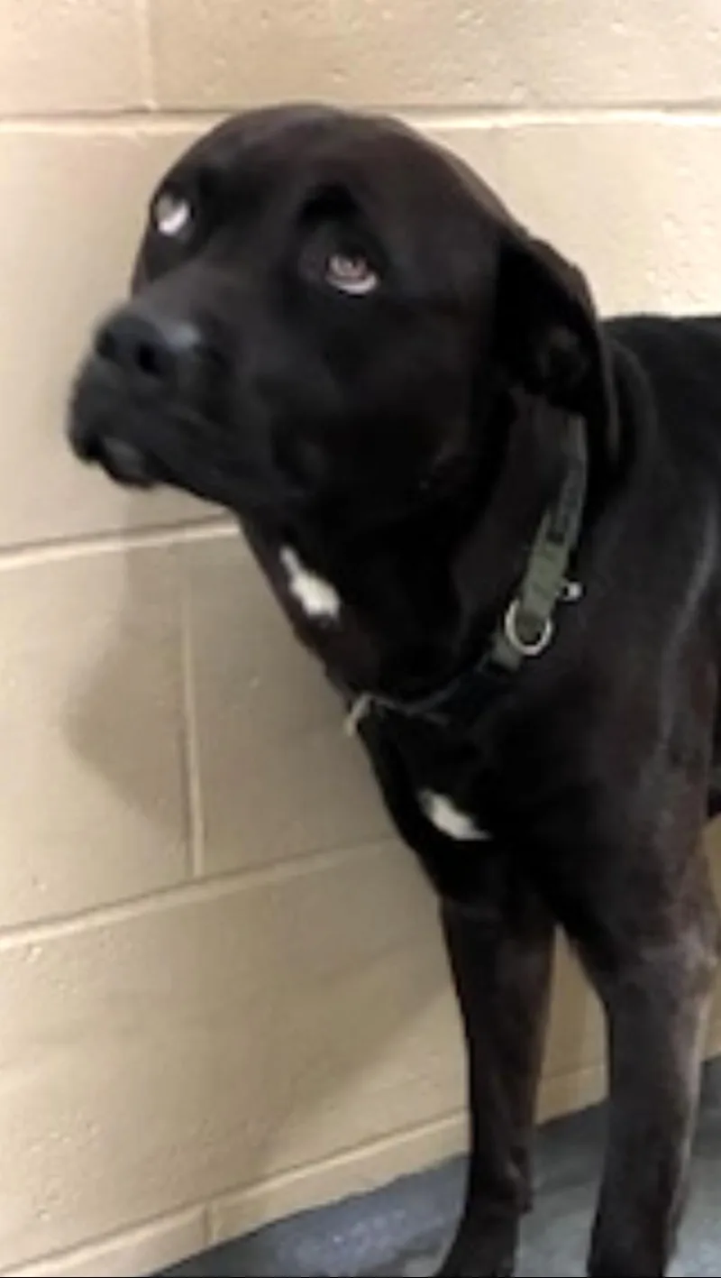 Wade Thrown Out Of thumbnail 2