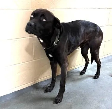 Wade Thrown Out Of thumbnail 3