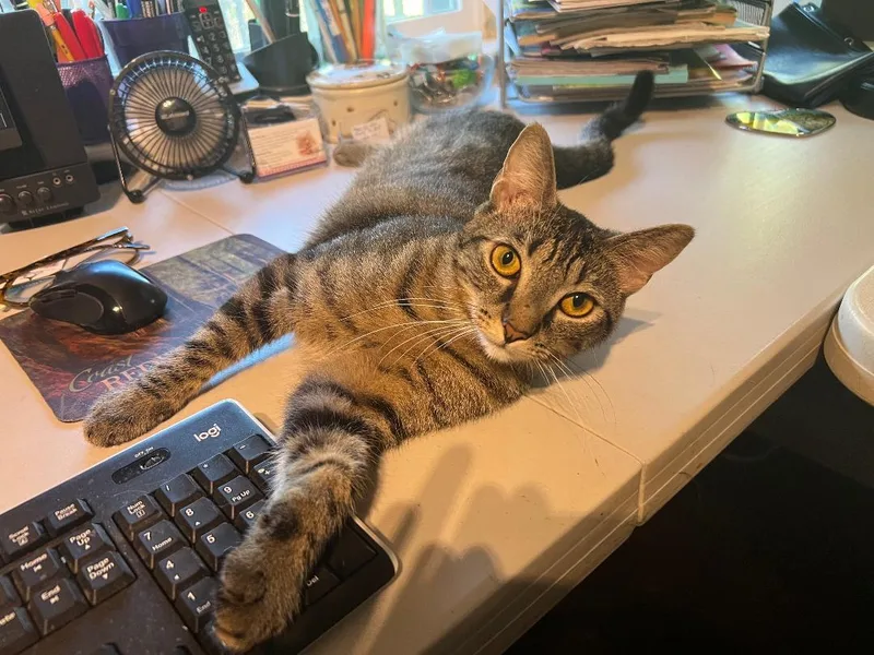 Misty & Tabitha thumbnail 2