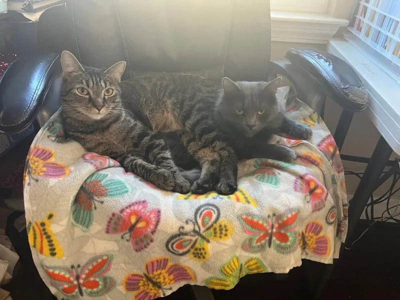 Misty & Tabitha thumbnail 3