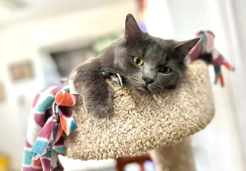 Misty & Tabitha thumbnail 4