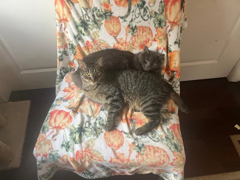 Misty & Tabitha thumbnail 5