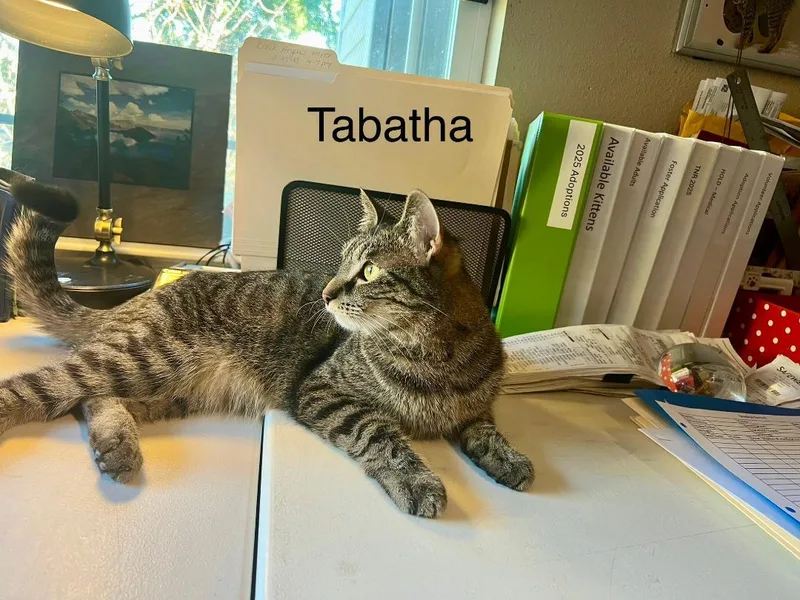 Misty & Tabitha thumbnail 6