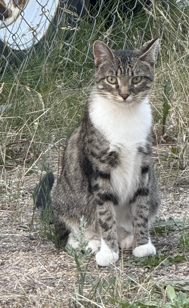 Madam Grace thumbnail 2