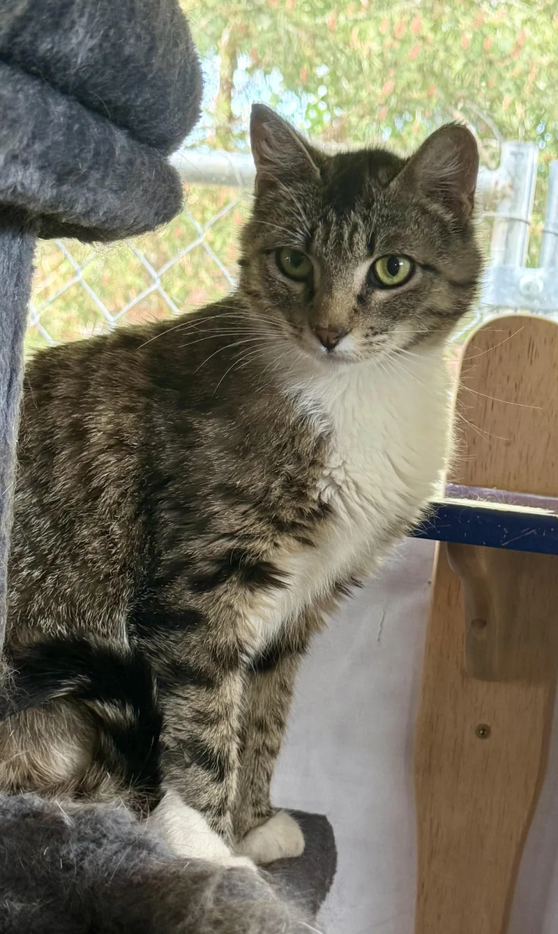 Madam Grace thumbnail 5