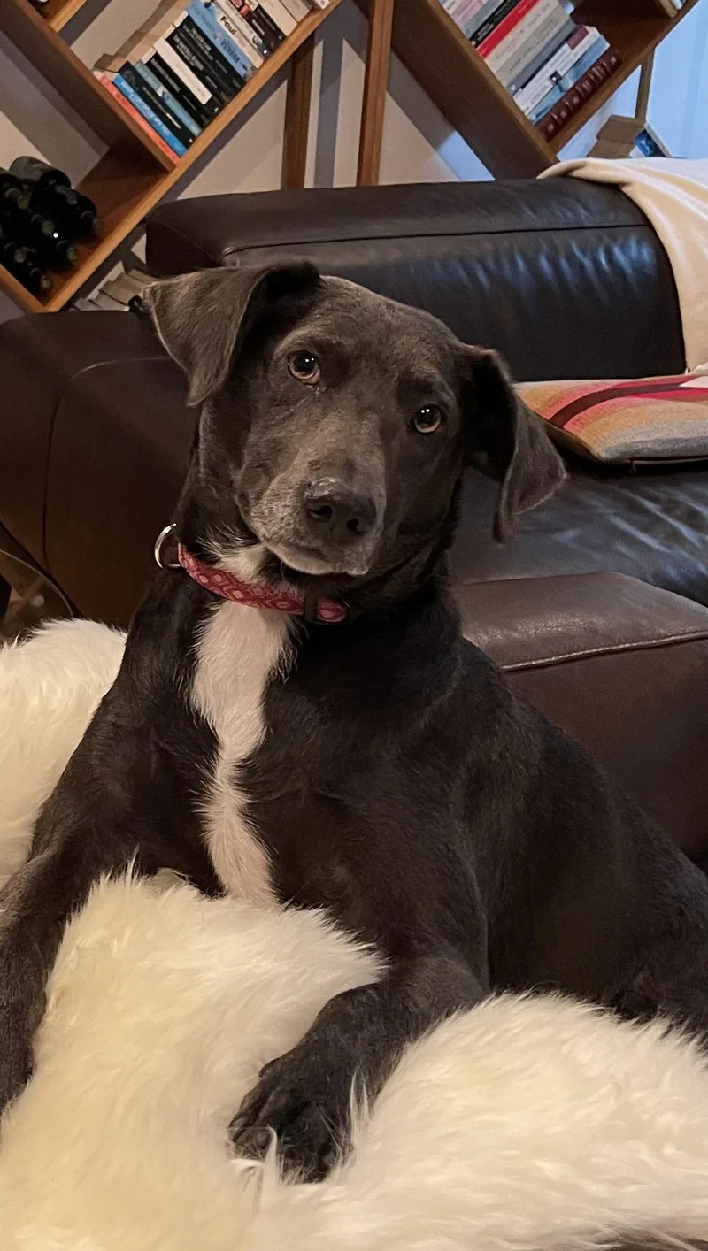 Etta  Courtesy Listing