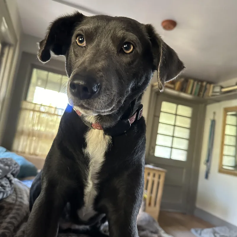 Etta  Courtesy Listing thumbnail 2