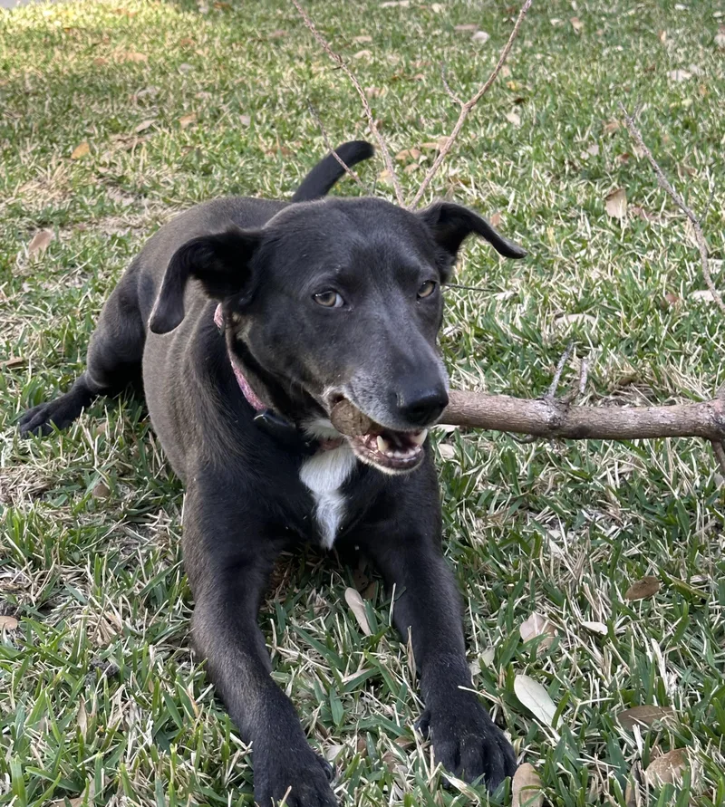 Etta  Courtesy Listing thumbnail 5