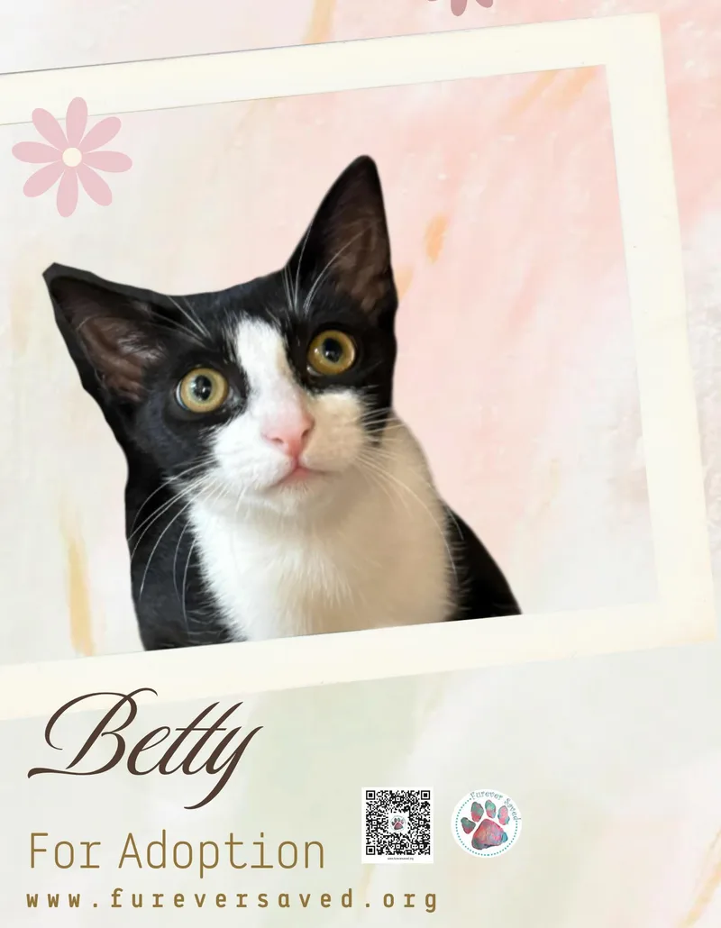 Betty thumbnail 3