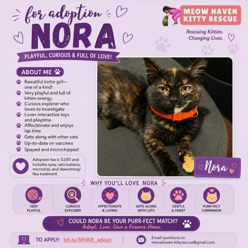 Nora thumbnail 4