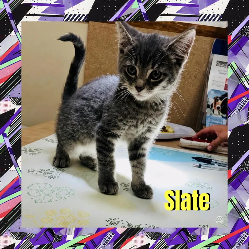 Slate thumbnail 2
