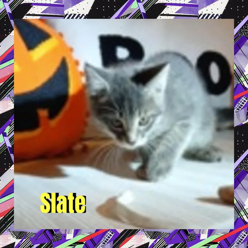 Slate thumbnail 3