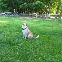 Hudson thumbnail 2