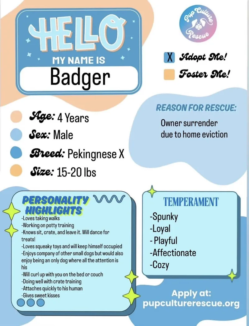 Badger thumbnail 3