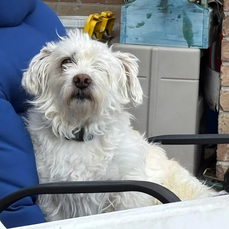Questo Arriving  D thumbnail 5