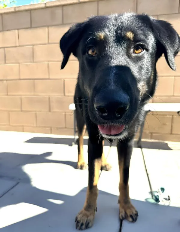 Pluto
