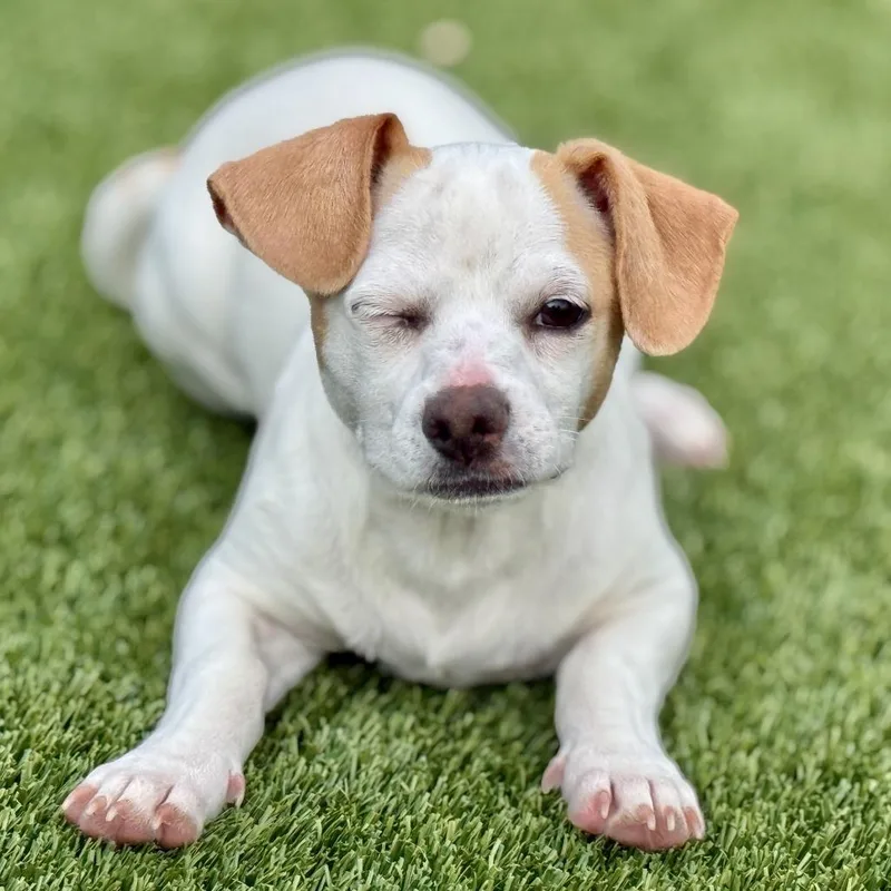 Tundra  My Mom thumbnail 2