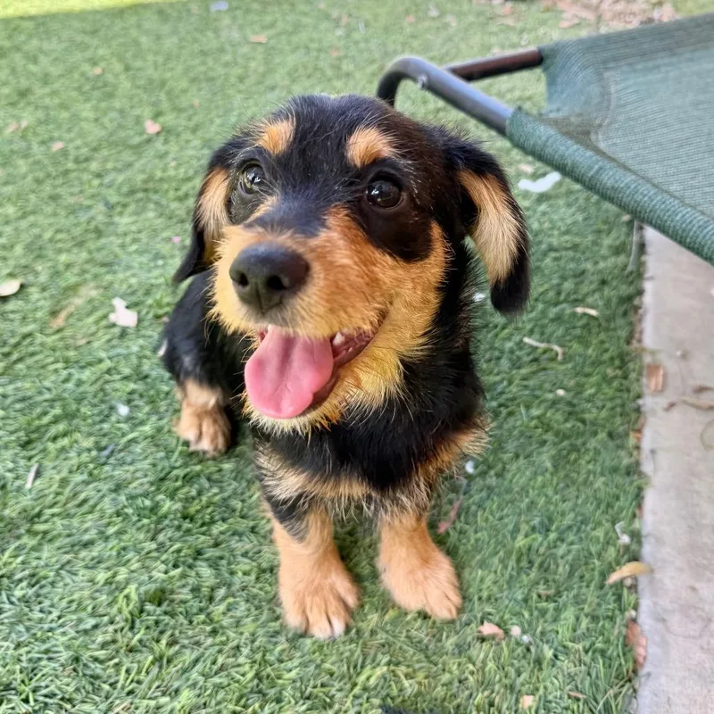 Ernie thumbnail 2