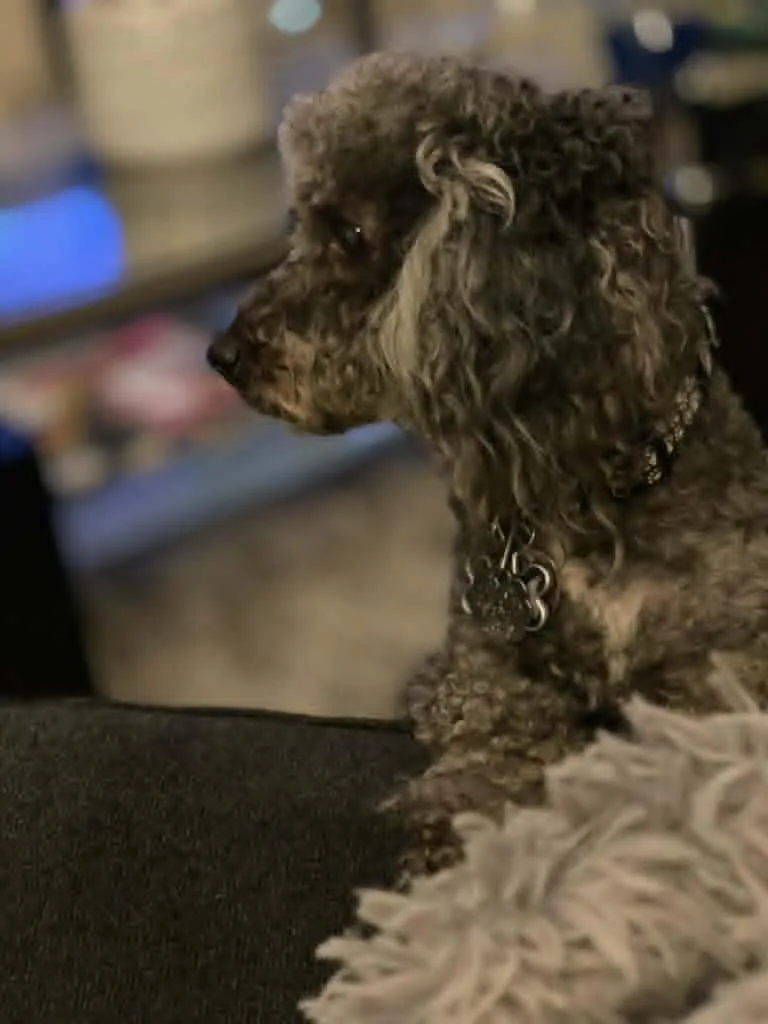 Boosie thumbnail 6