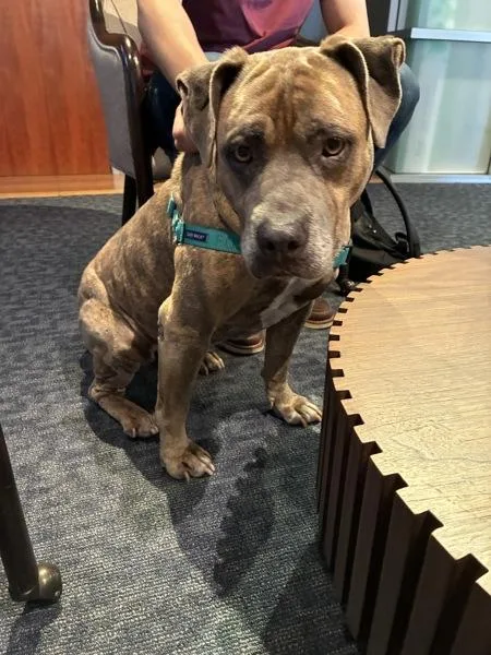 Precious