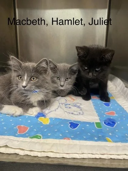 Hamlet