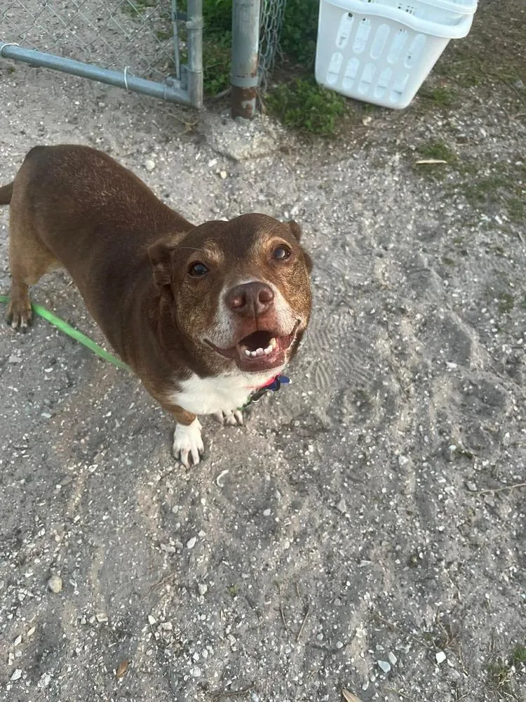 Big Mack thumbnail 3