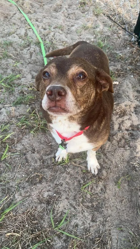 Big Mack thumbnail 5