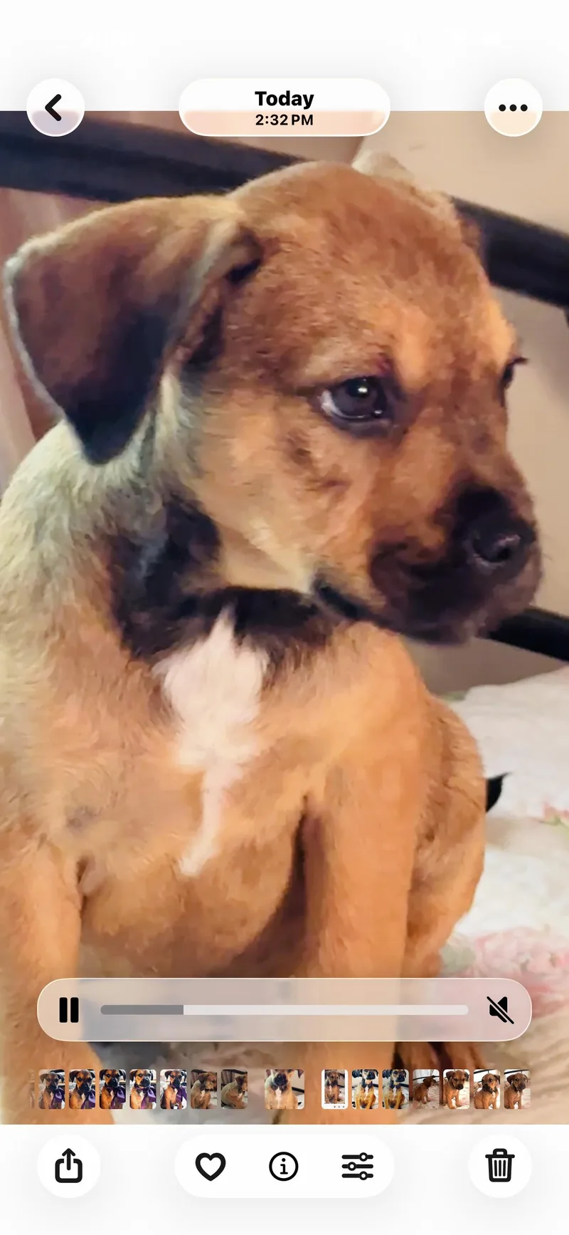 L’oreal thumbnail 2