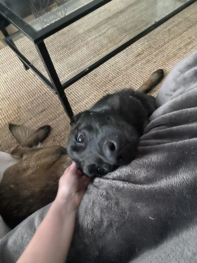 Coby  Located In thumbnail 3