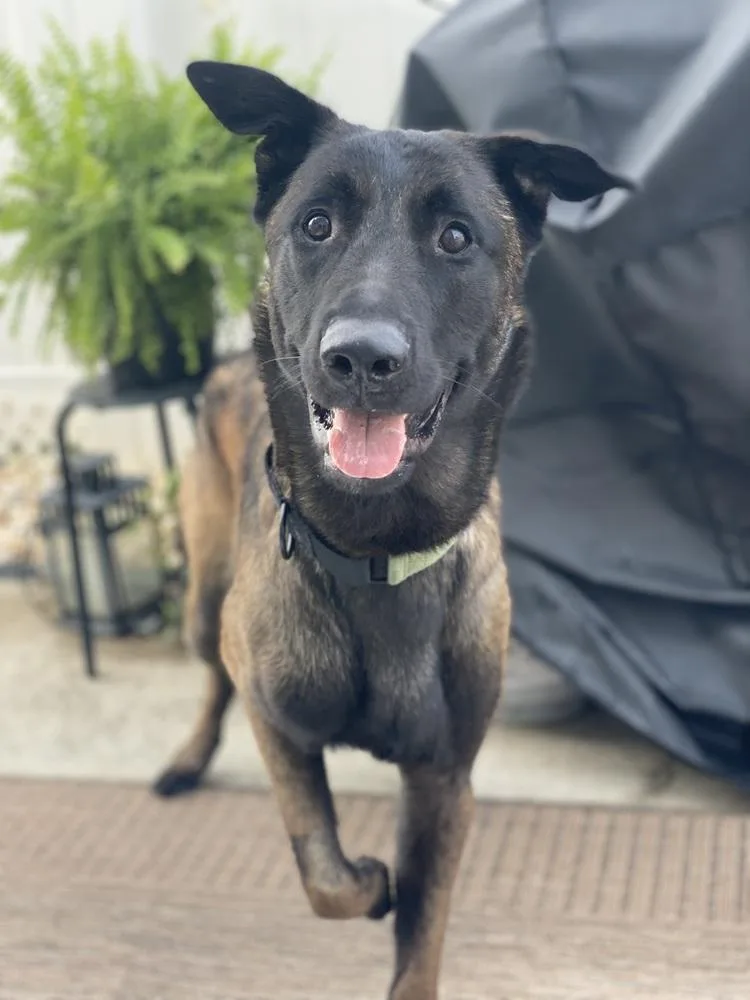 Coby  Located In thumbnail 4