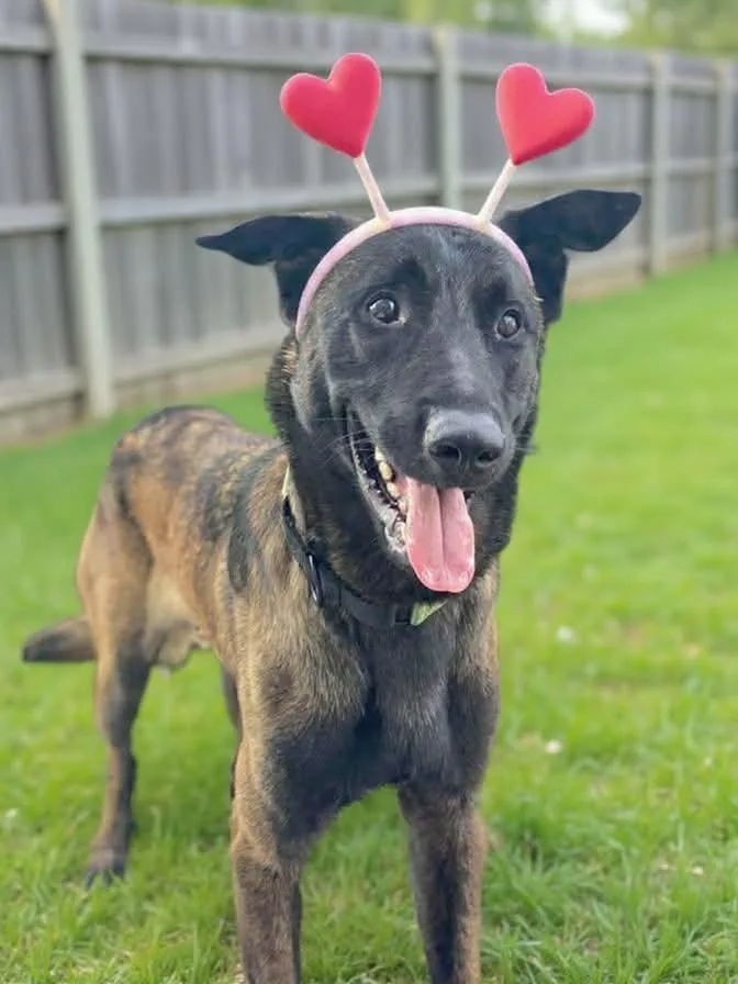 Coby  Located In thumbnail 5