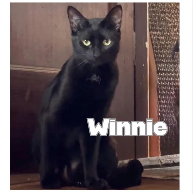 Winnie