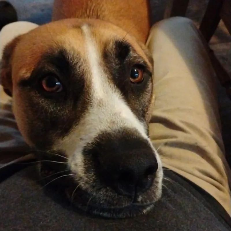 Samuel Jackson thumbnail 2