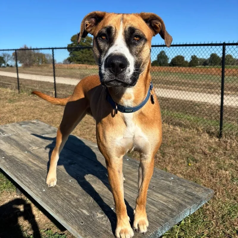 Samuel Jackson thumbnail 3