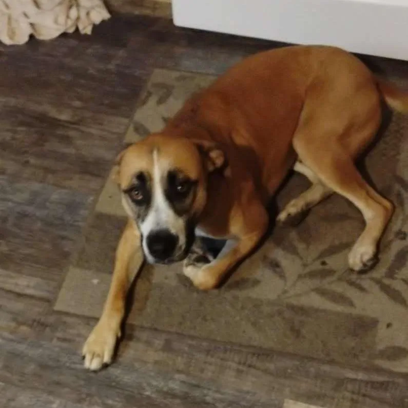 Samuel Jackson thumbnail 4