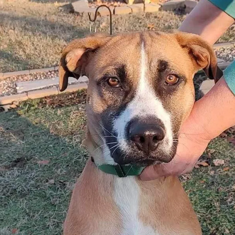 Samuel Jackson thumbnail 5