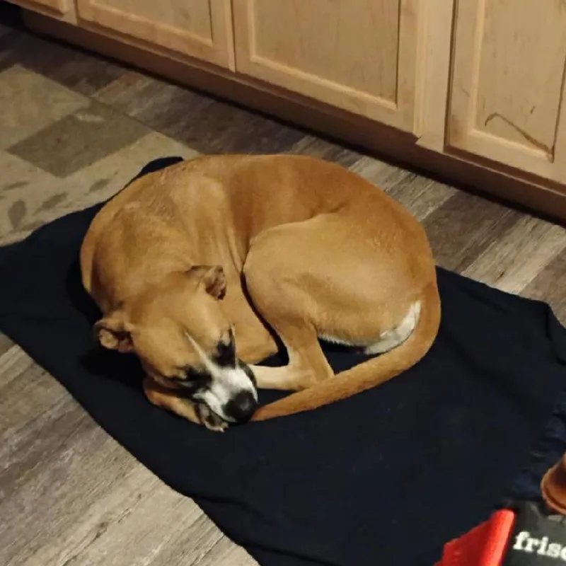 Samuel Jackson thumbnail 6