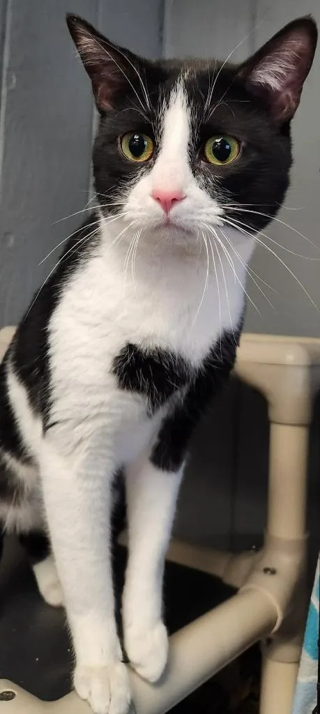 Pablo